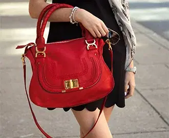SATCHEL image